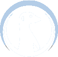 Suricata