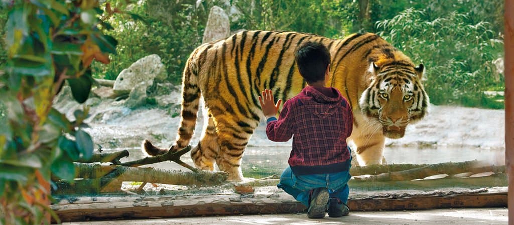 Momente din circuitul Gardaland & Parco Natura Viva – fotografia 5