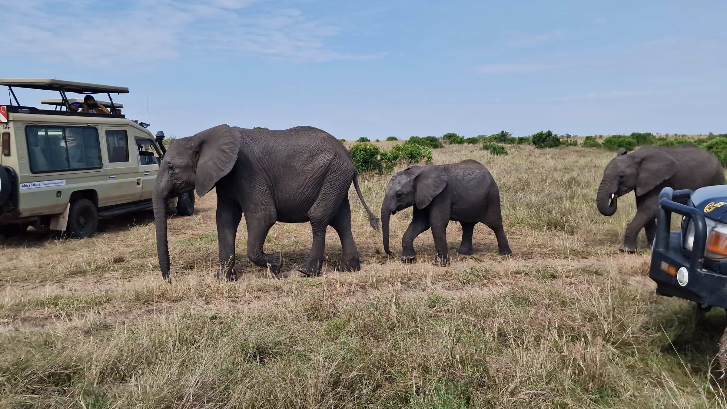 Momente din excursia în Kenya – fotografia 2
