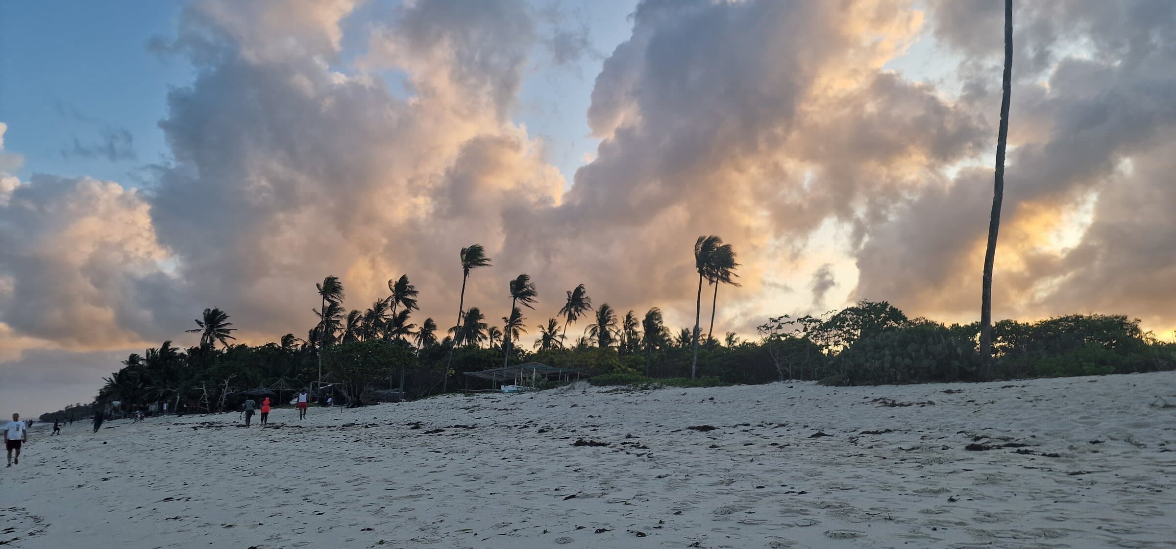 Momente din excursia în Kenya – fotografia 4