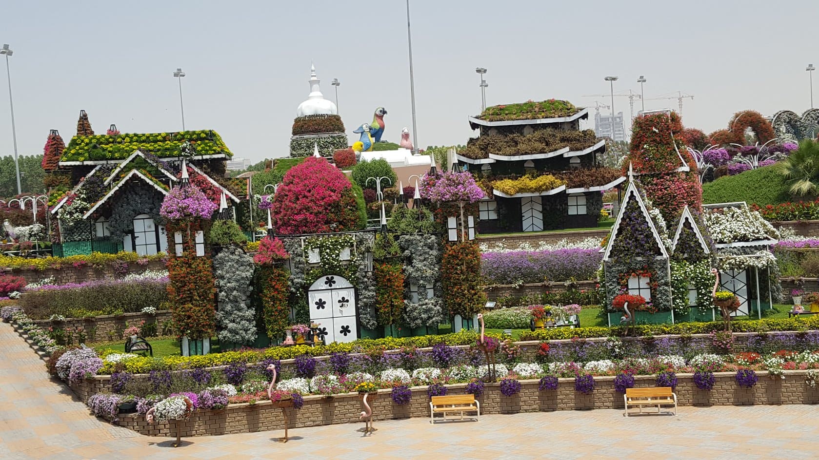 Dubai Miracle Garden