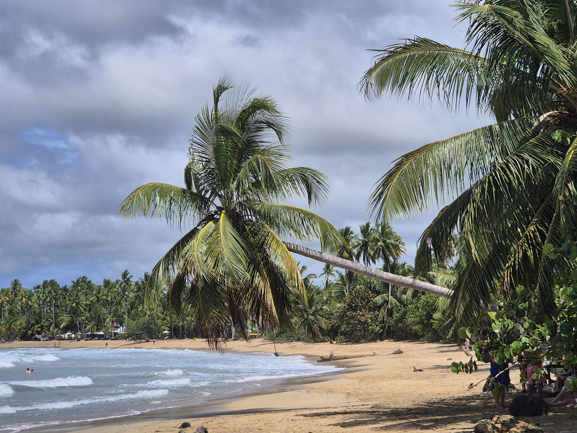 Samaná